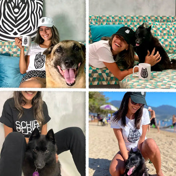 ianimals nossas cachorras schipperkes e malinois