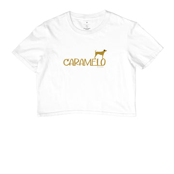 Camiseta Cropped cachorro Caramelo - Identidade