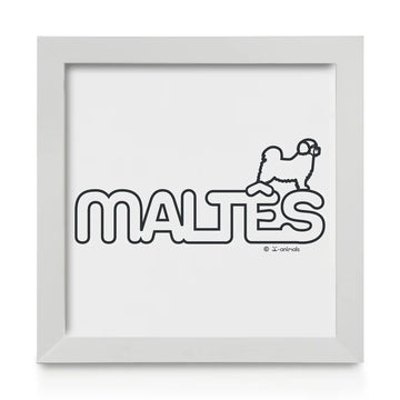 Quadro decorativo Maltês - Identidade