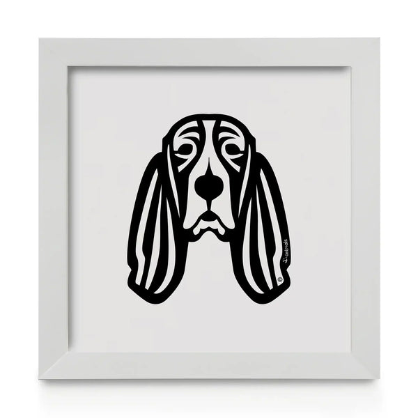 Basset Hound