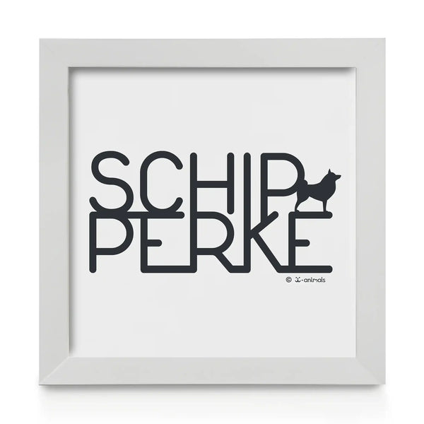 Schipperke