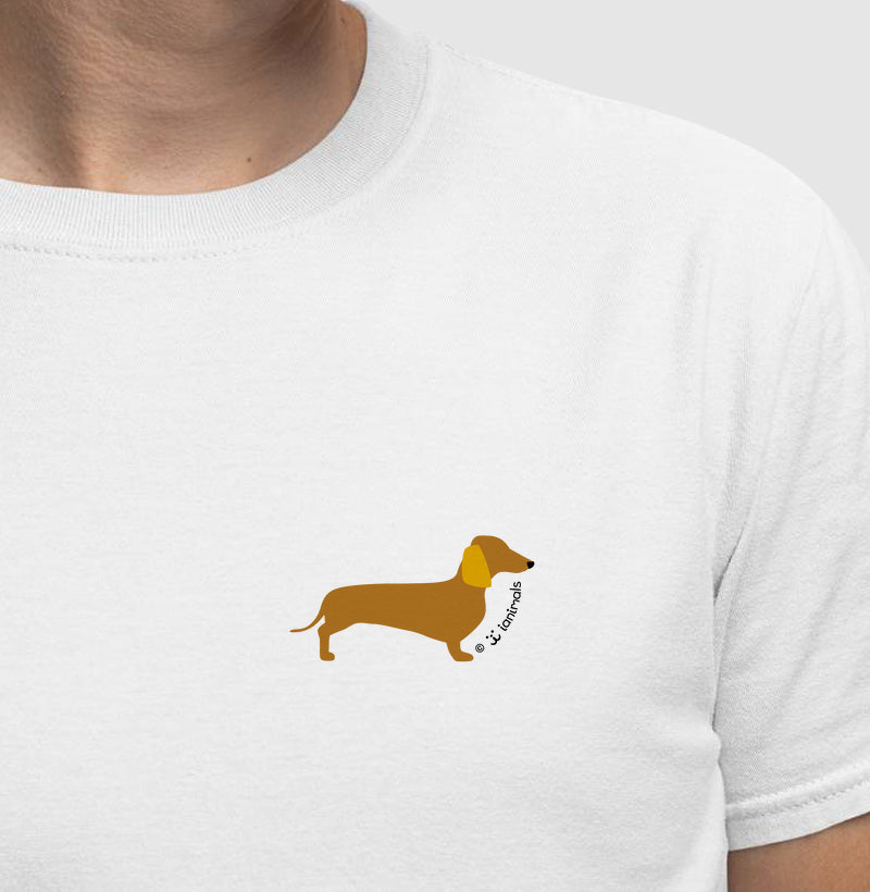 Dachshund - Perfil / Side