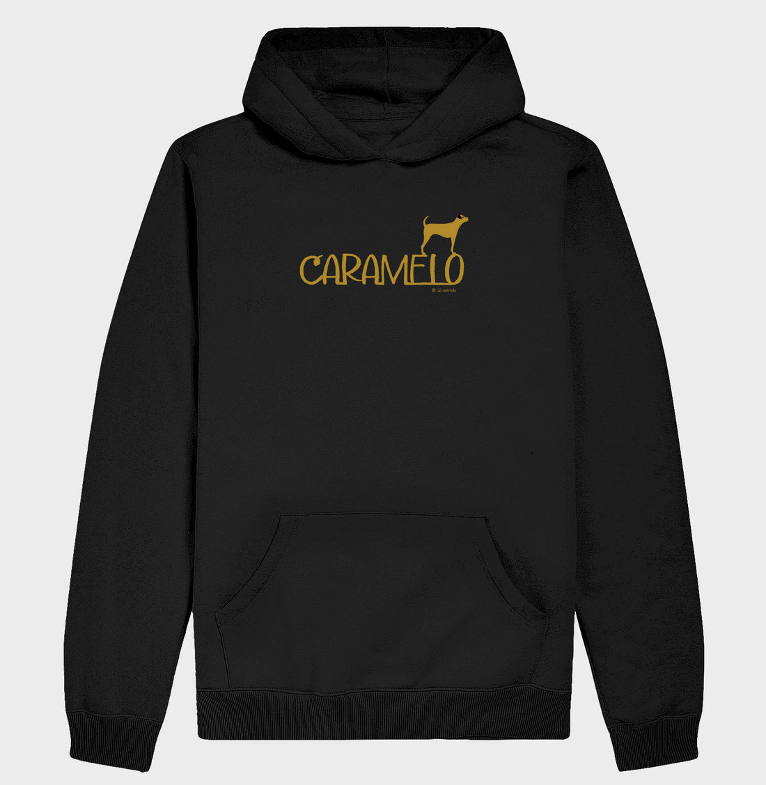 Moletom com Capuz cachorro Caramelo - Identidade (sem cadarço)