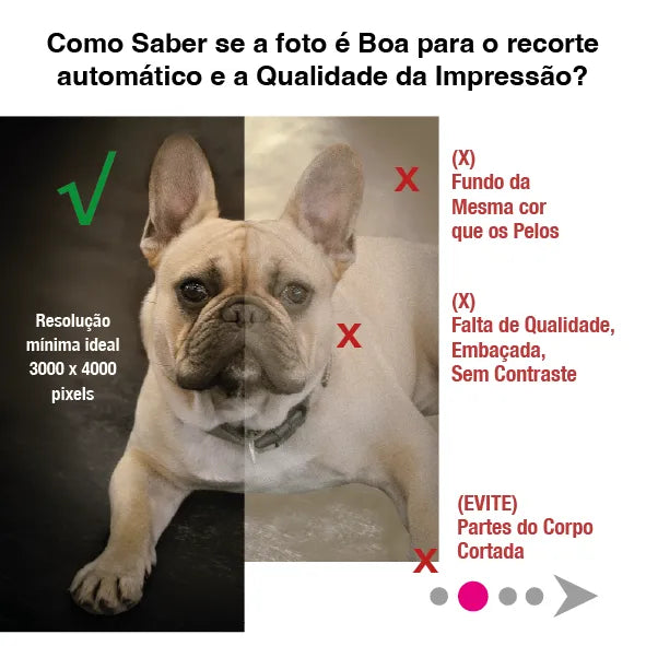 Camiseta Bootleg até 6 fotos /INCA SOFT - Personalizada