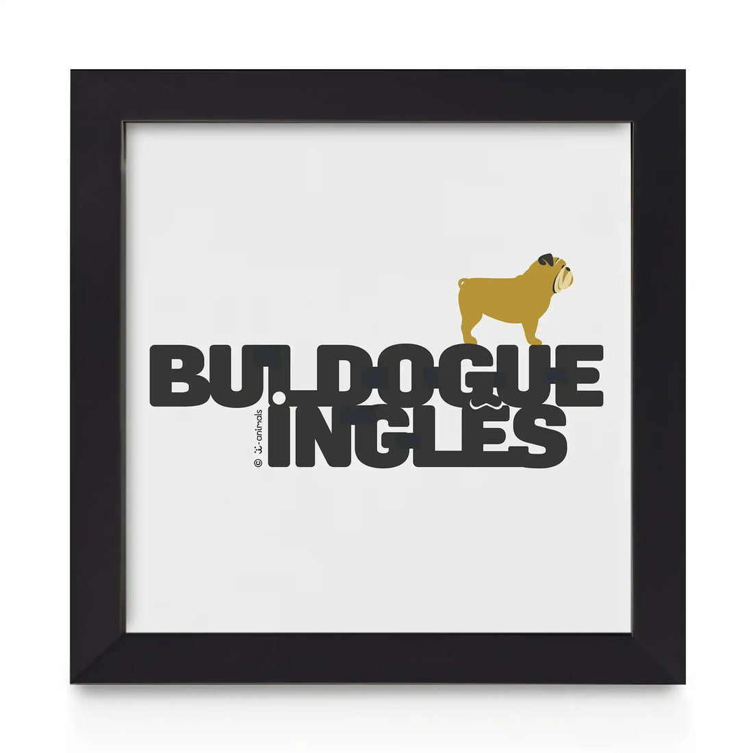 Quadro decorativo Buldogue Ingles - Identidade