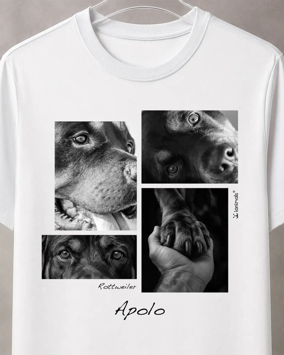Camiseta Closer 4 fotos - Personalizada