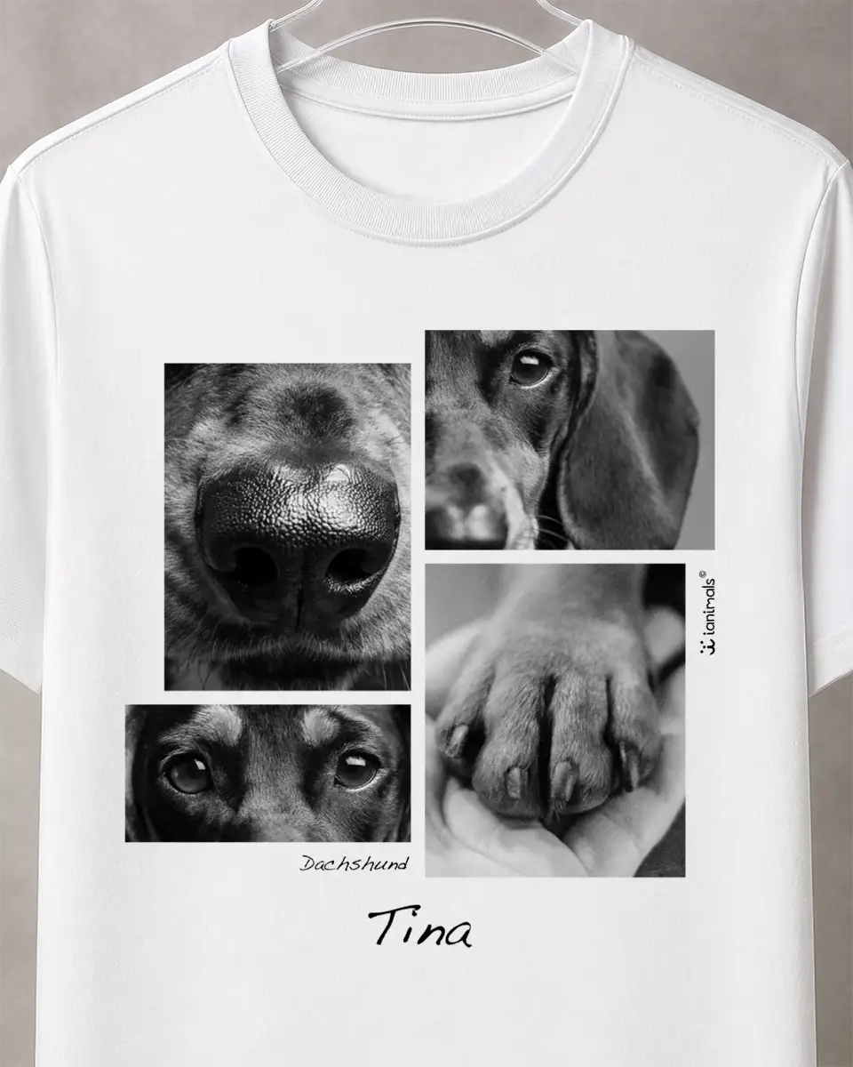 Camiseta Closer 4 fotos - Personalizada