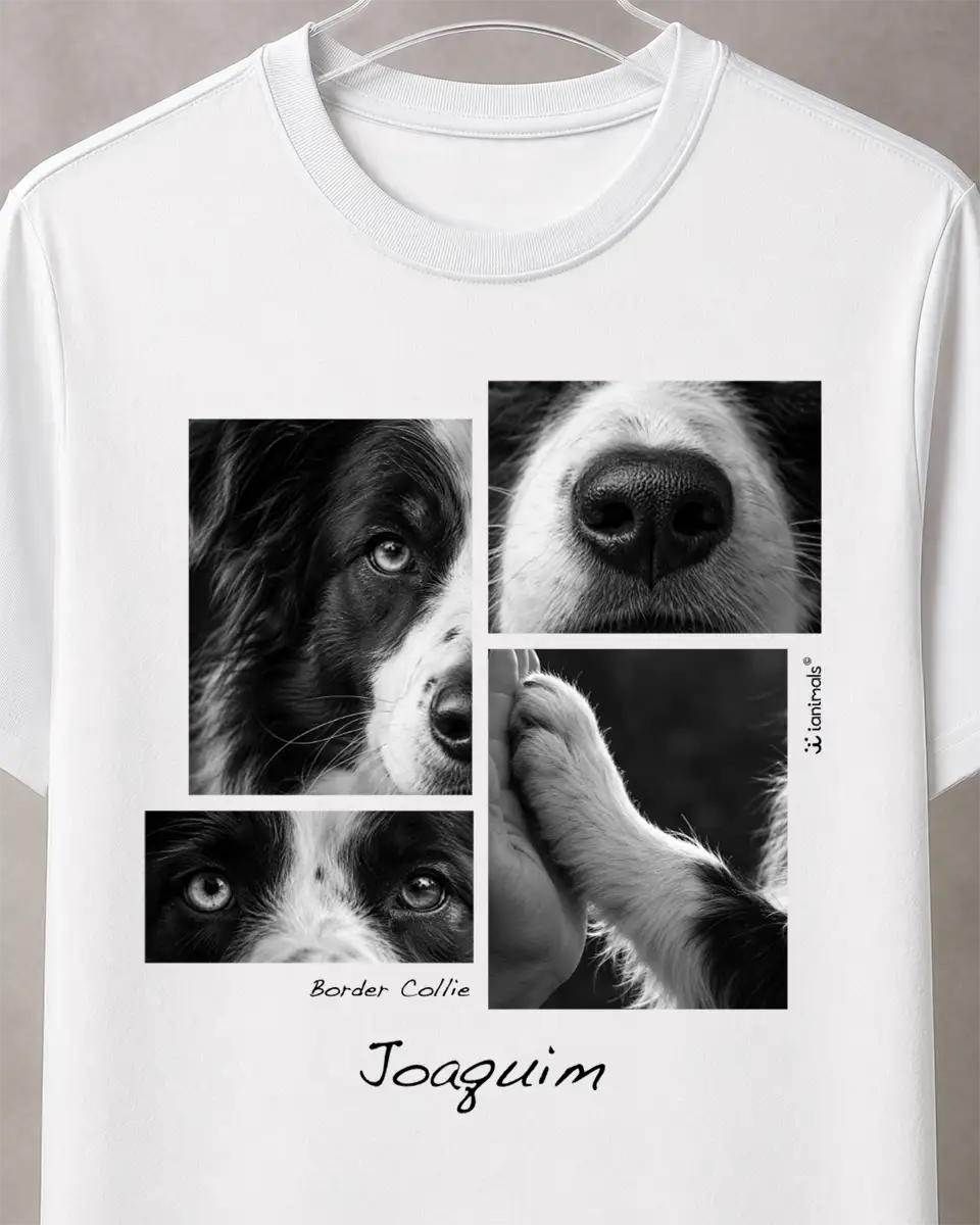 Camiseta Closer 4 fotos - Personalizada