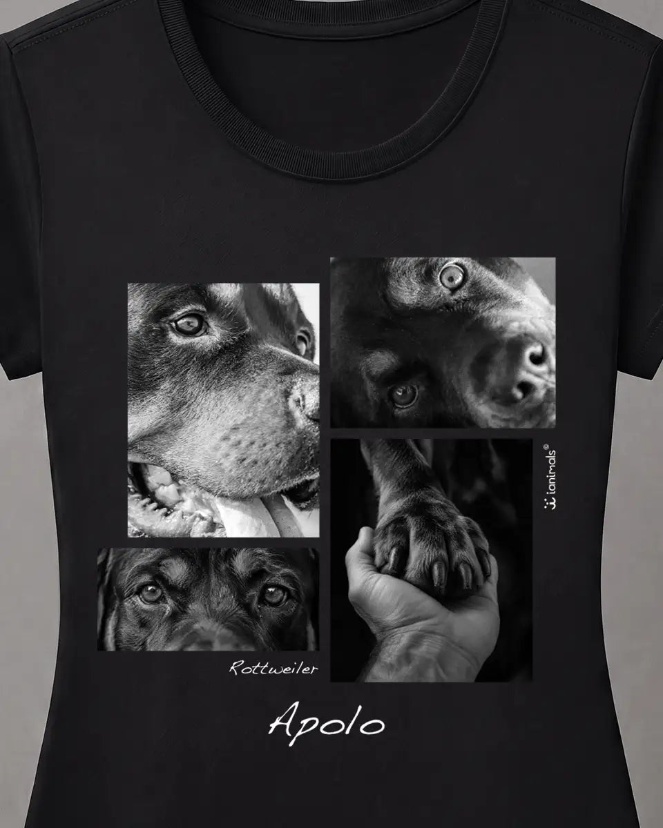 Camiseta Closer 4 fotos - Personalizada