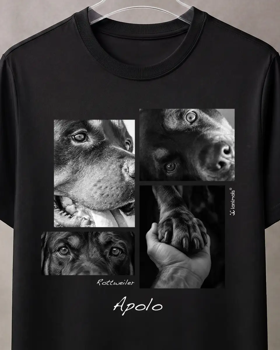 Camiseta Closer 4 fotos - Personalizada