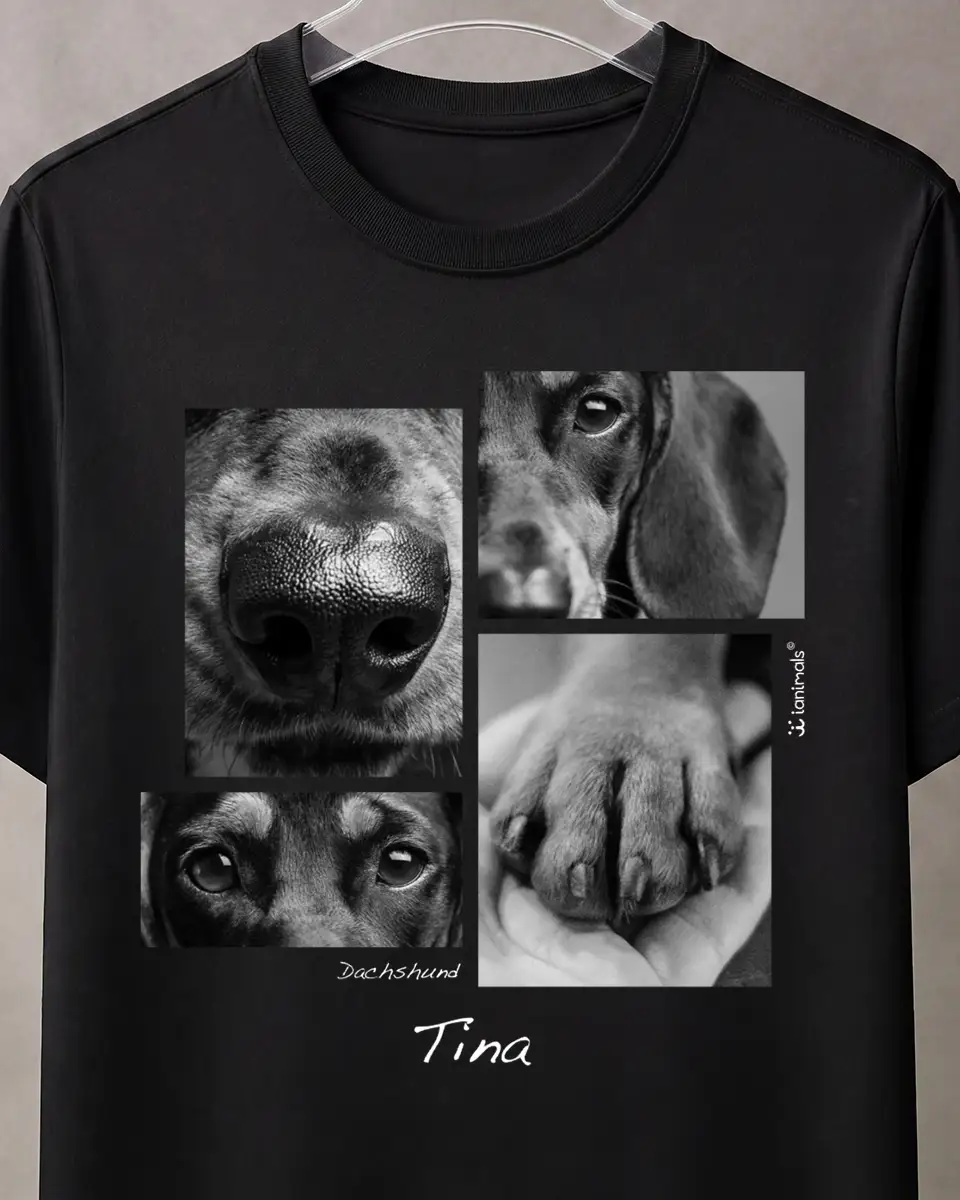 Camiseta Closer 4 fotos - Personalizada