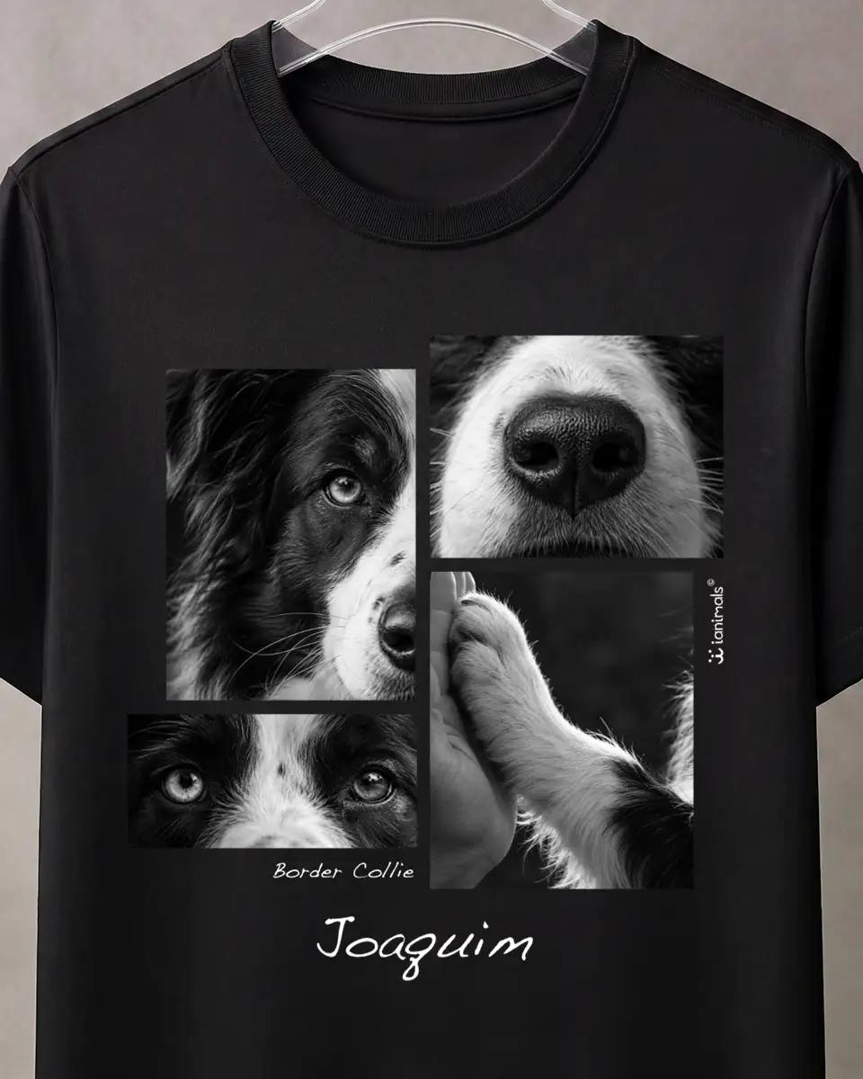Camiseta Closer 4 fotos - Personalizada