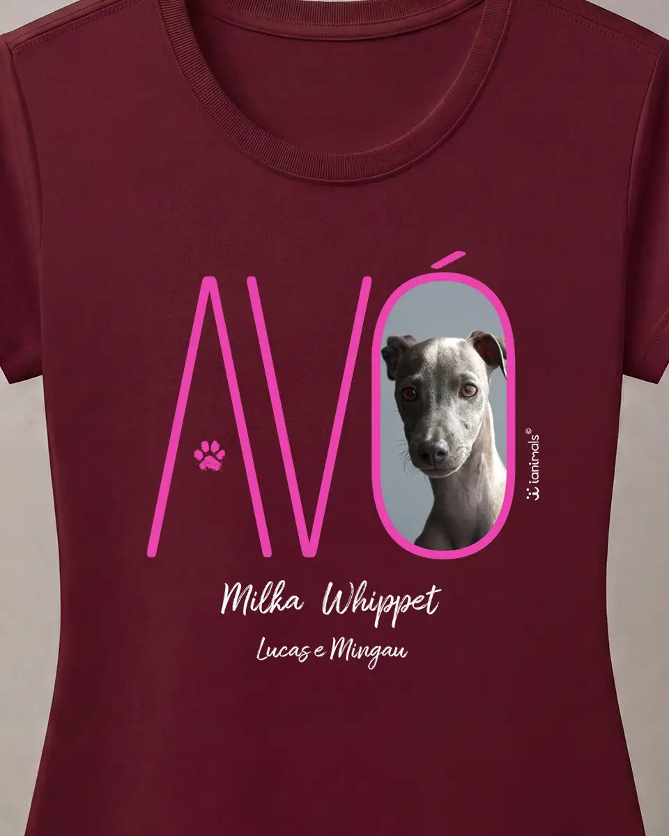 Camiseta Avós e Bisavós - Personalizada