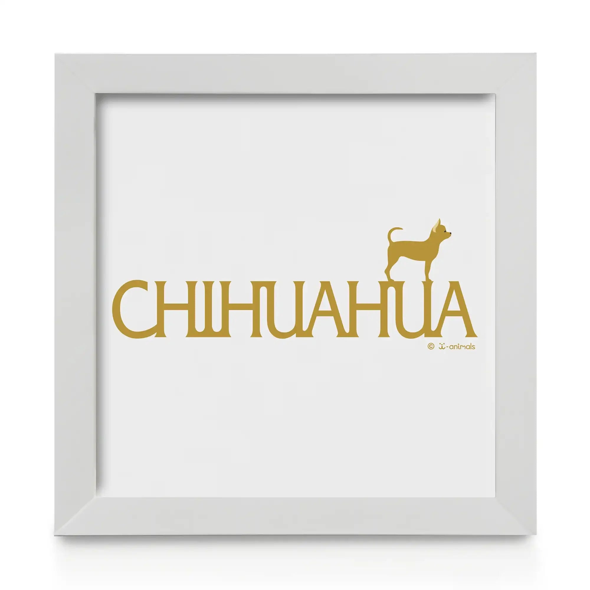 Quadro decorativo Chihuahua - Identidade