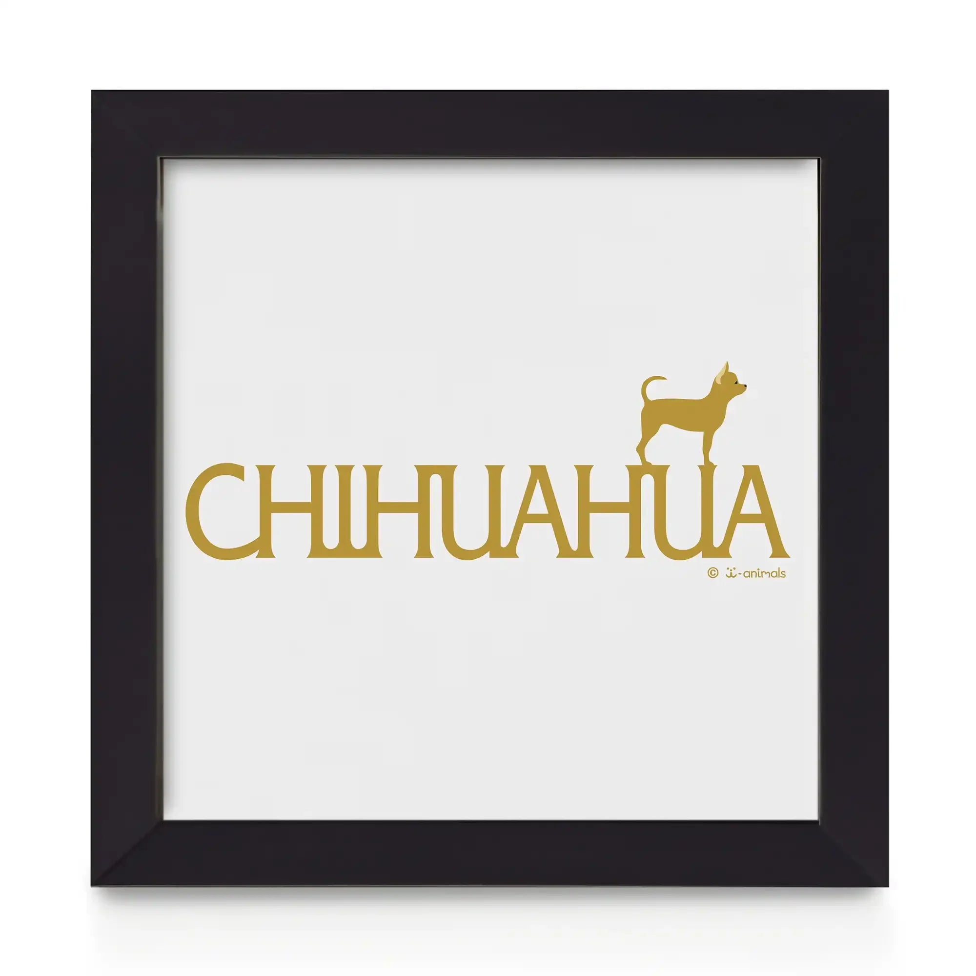 Quadro decorativo Chihuahua - Identidade