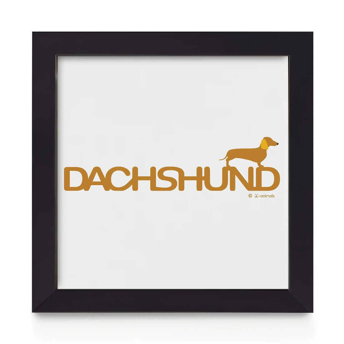 Quadro decorativo Dachshund - Identidade