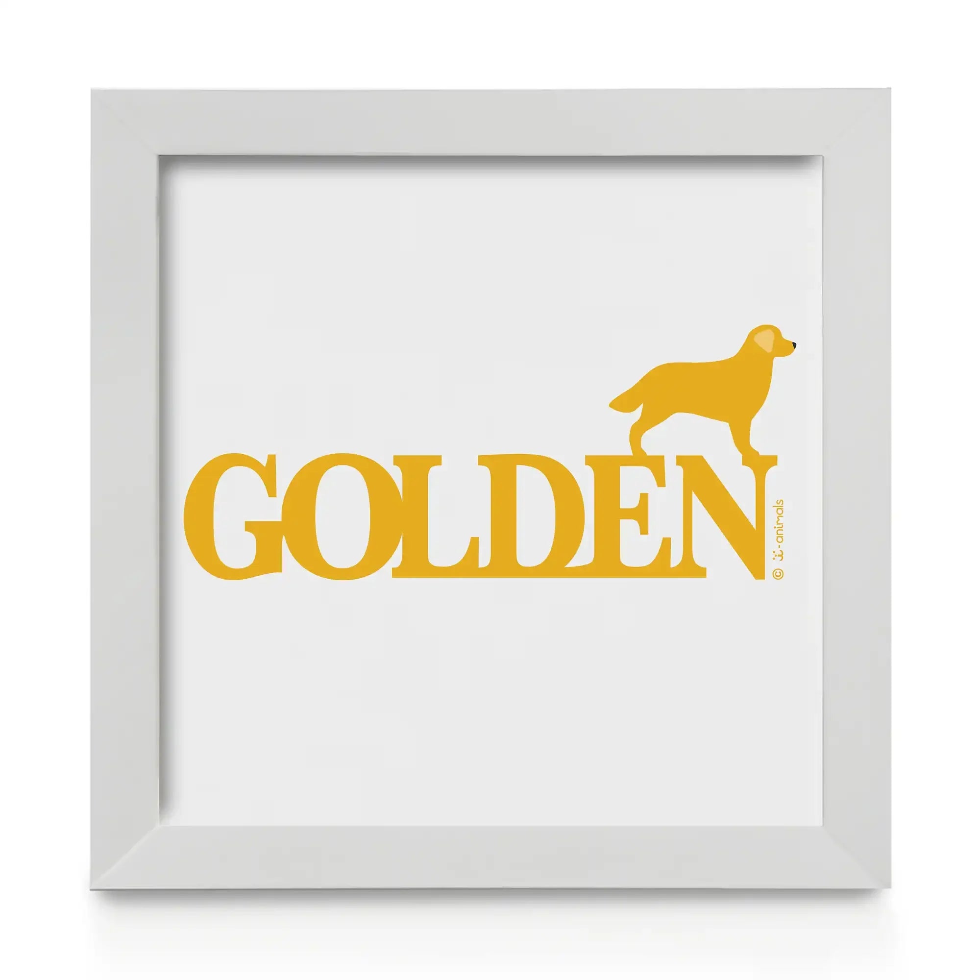 Quadro decorativo Golden Retriever - Identidade