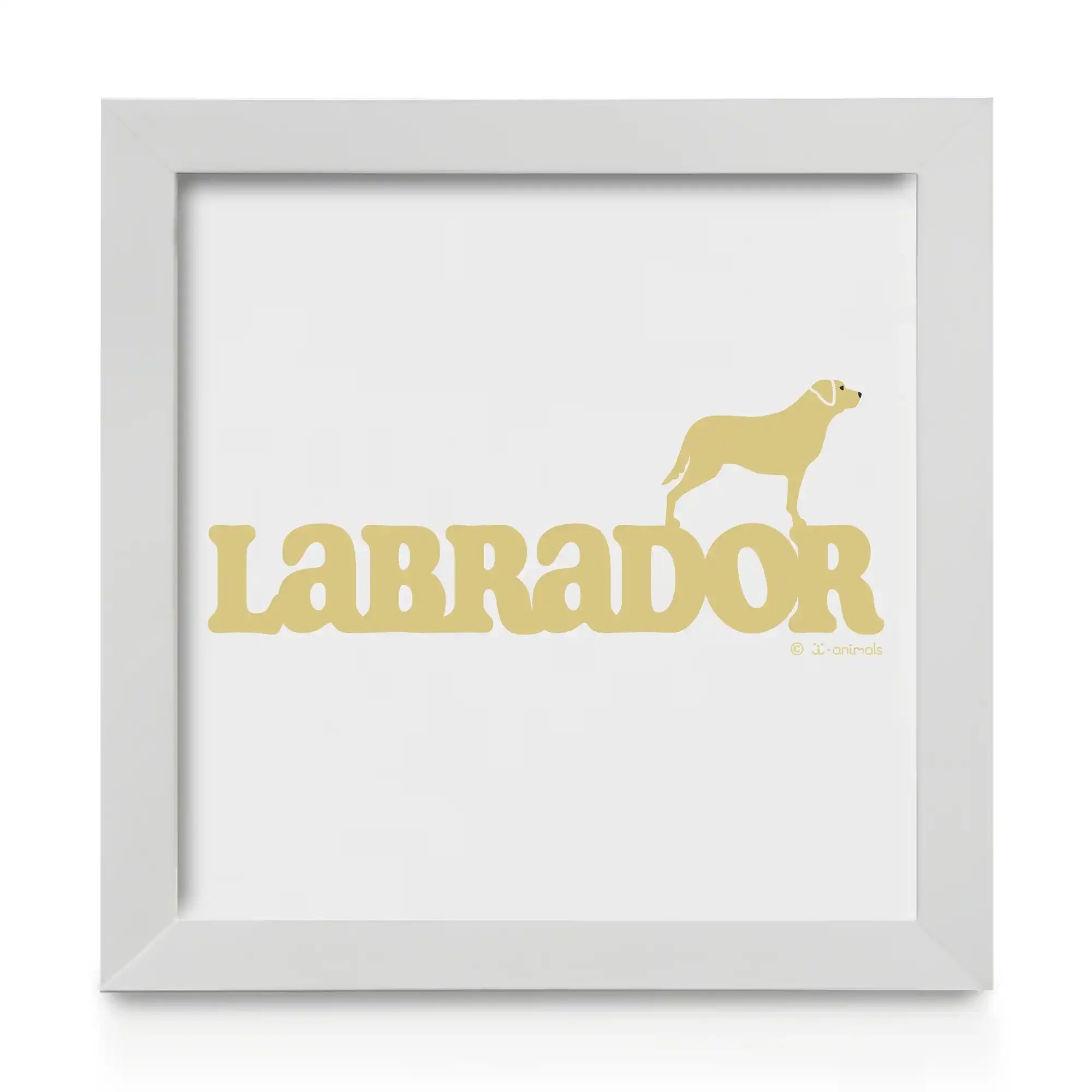 Quadro decorativo Labrador - Identidade