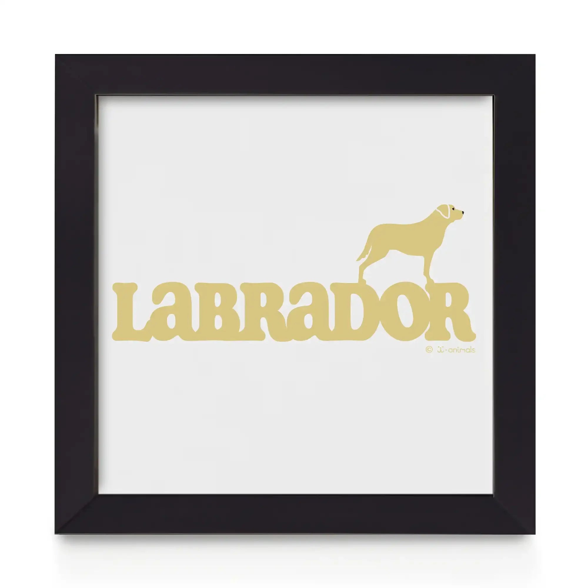 Quadro decorativo Labrador - Identidade