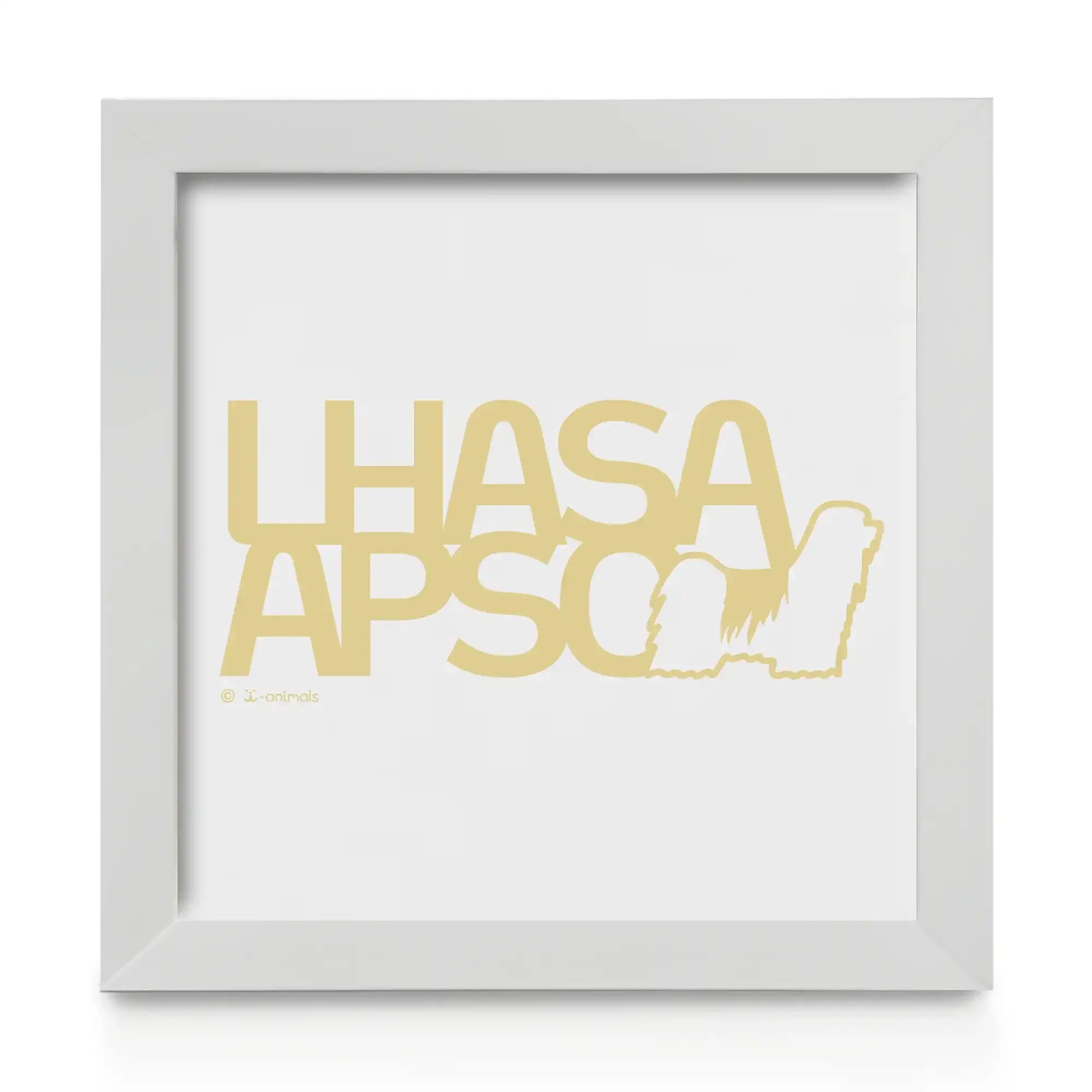 Quadro decorativo Lhasa Apso - Identidade
