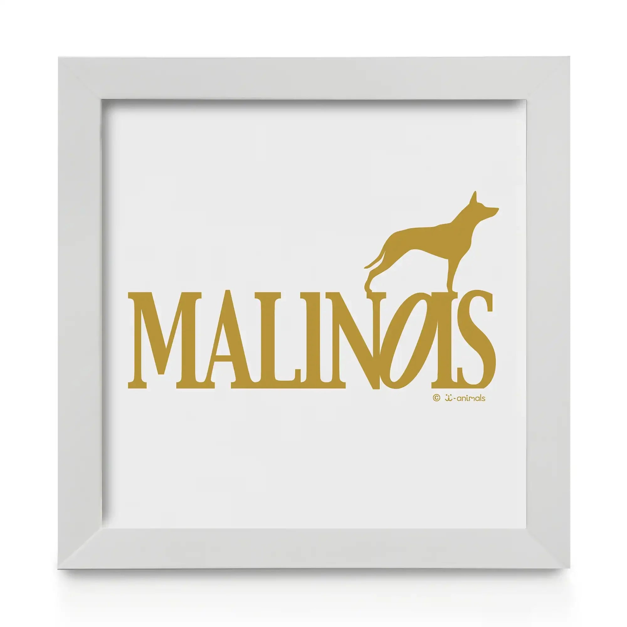 Quadro decorativo Malinois - Identidade