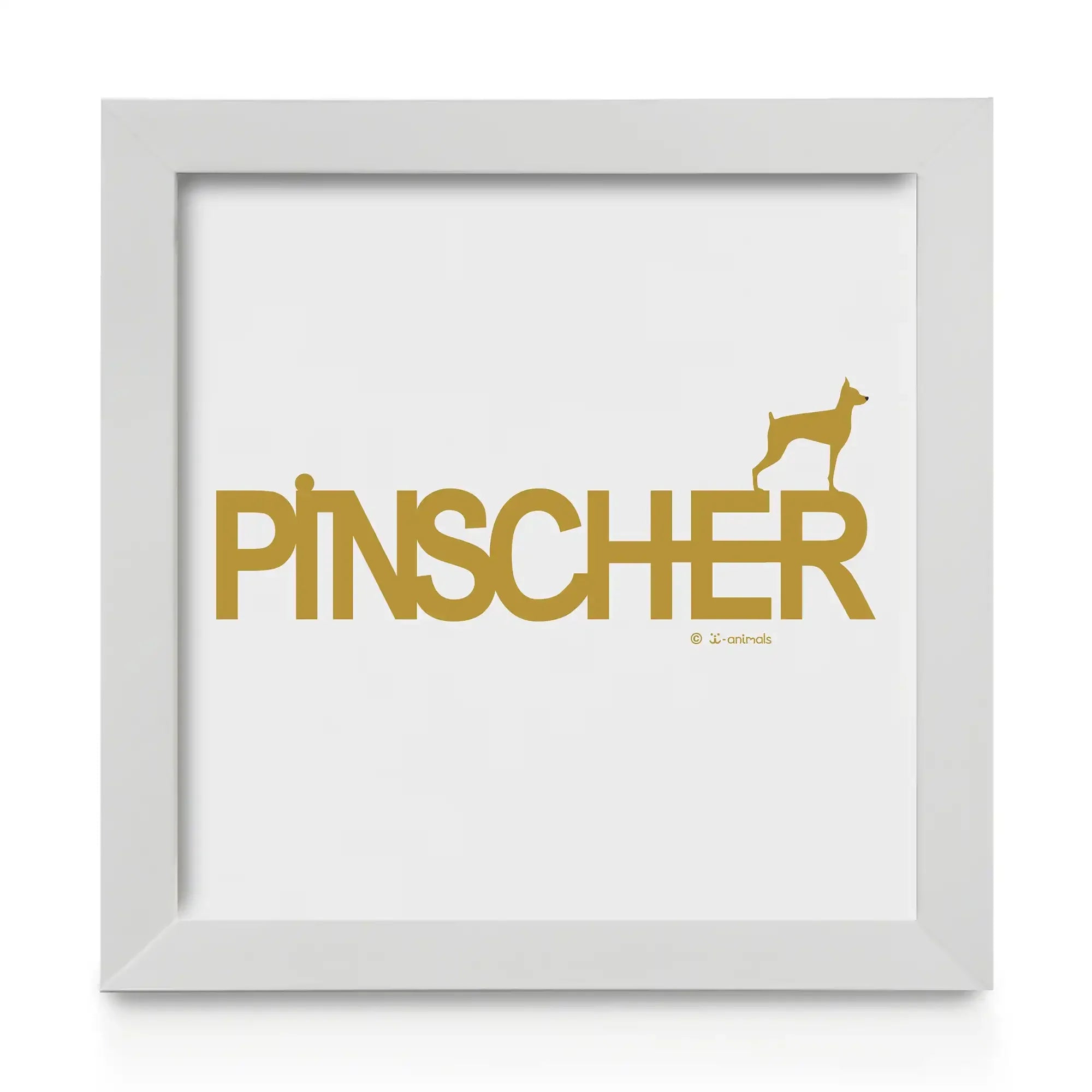 Quadro decorativo Pinscher - Identidade