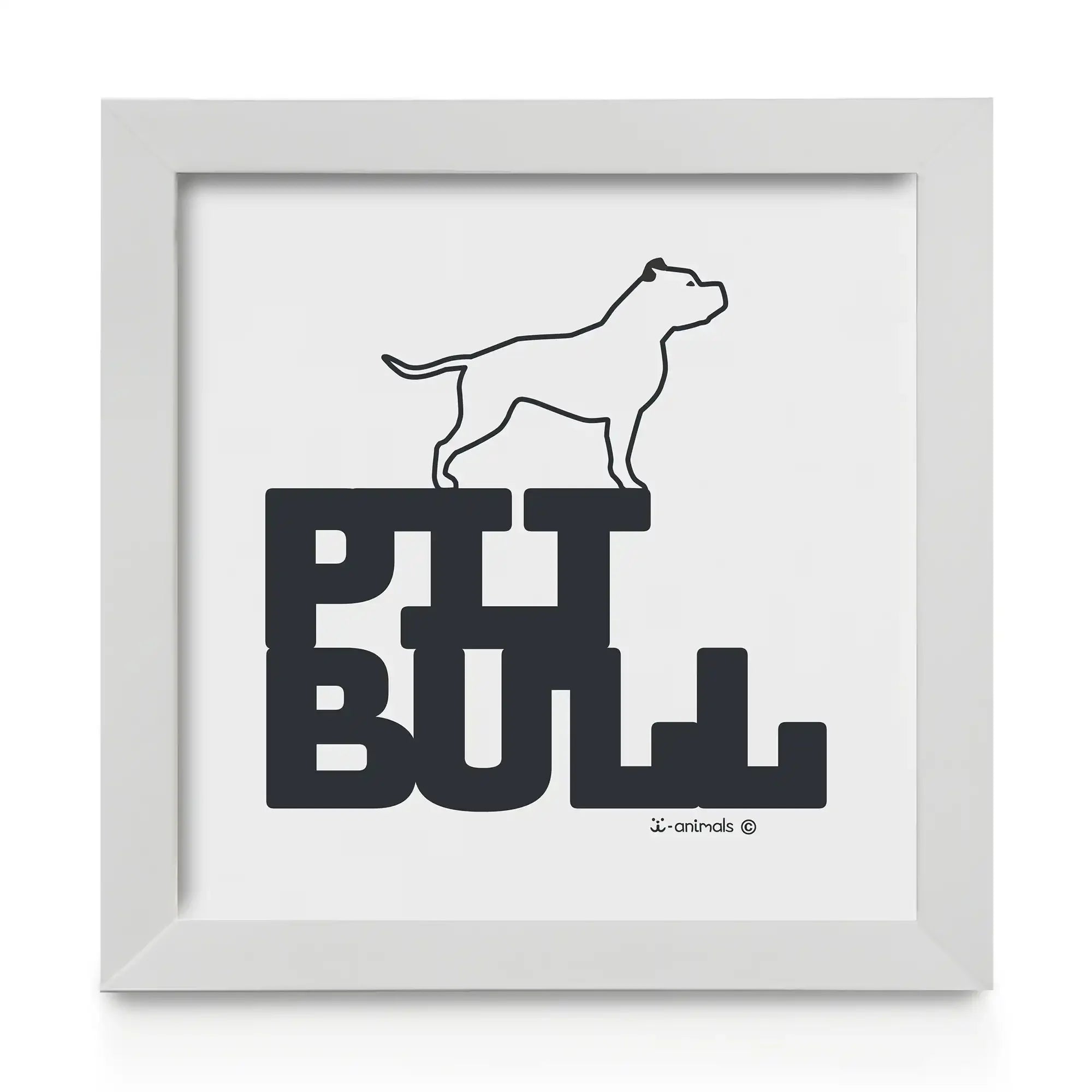 Quadro decorativo Pit Bull - Identidade
