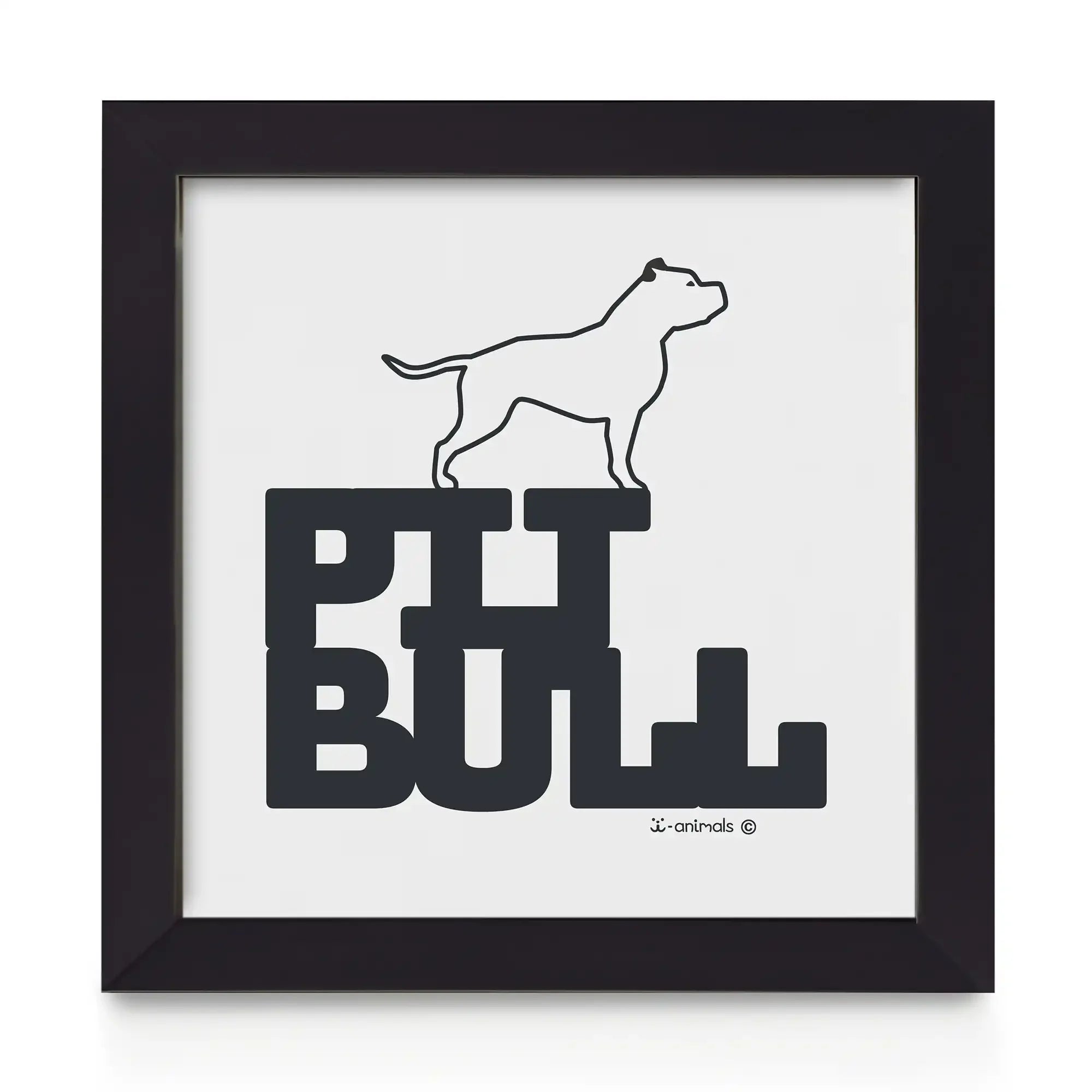 Quadro decorativo Pit Bull - Identidade