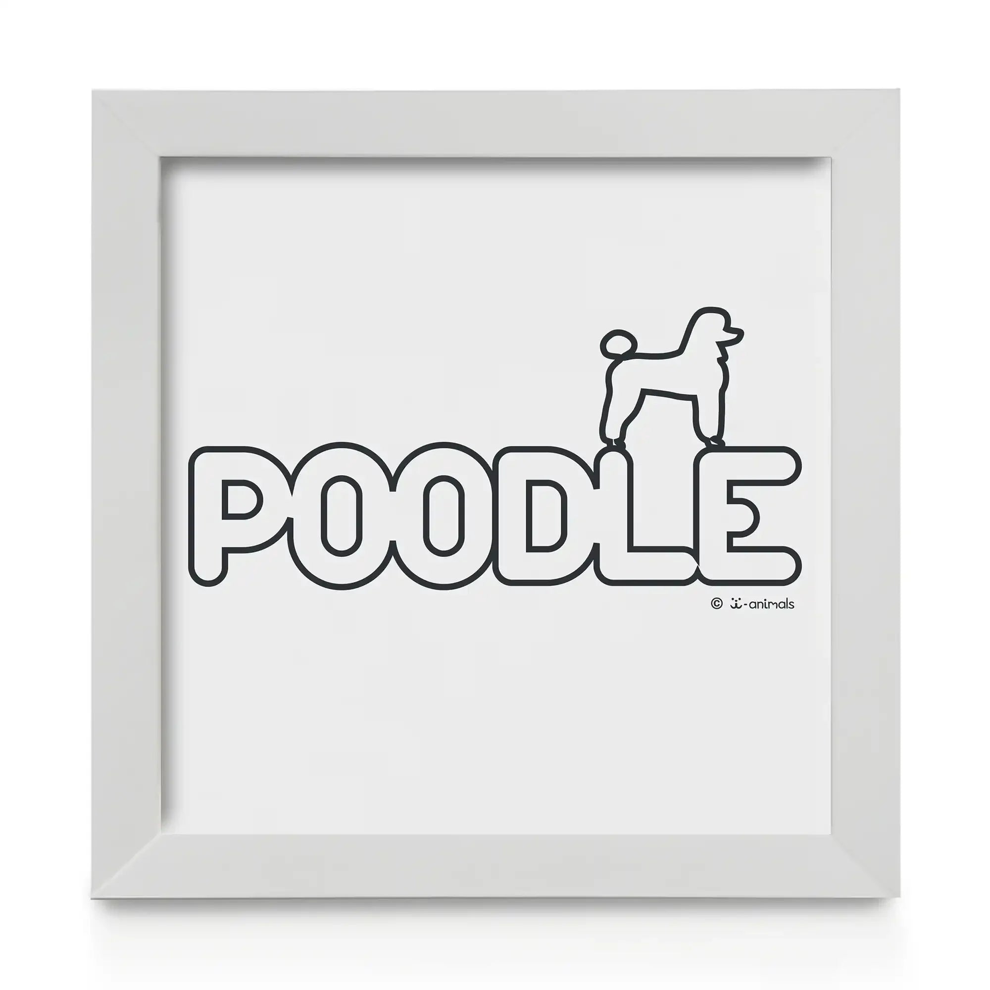 Quadro decorativo Poodle - Identidade