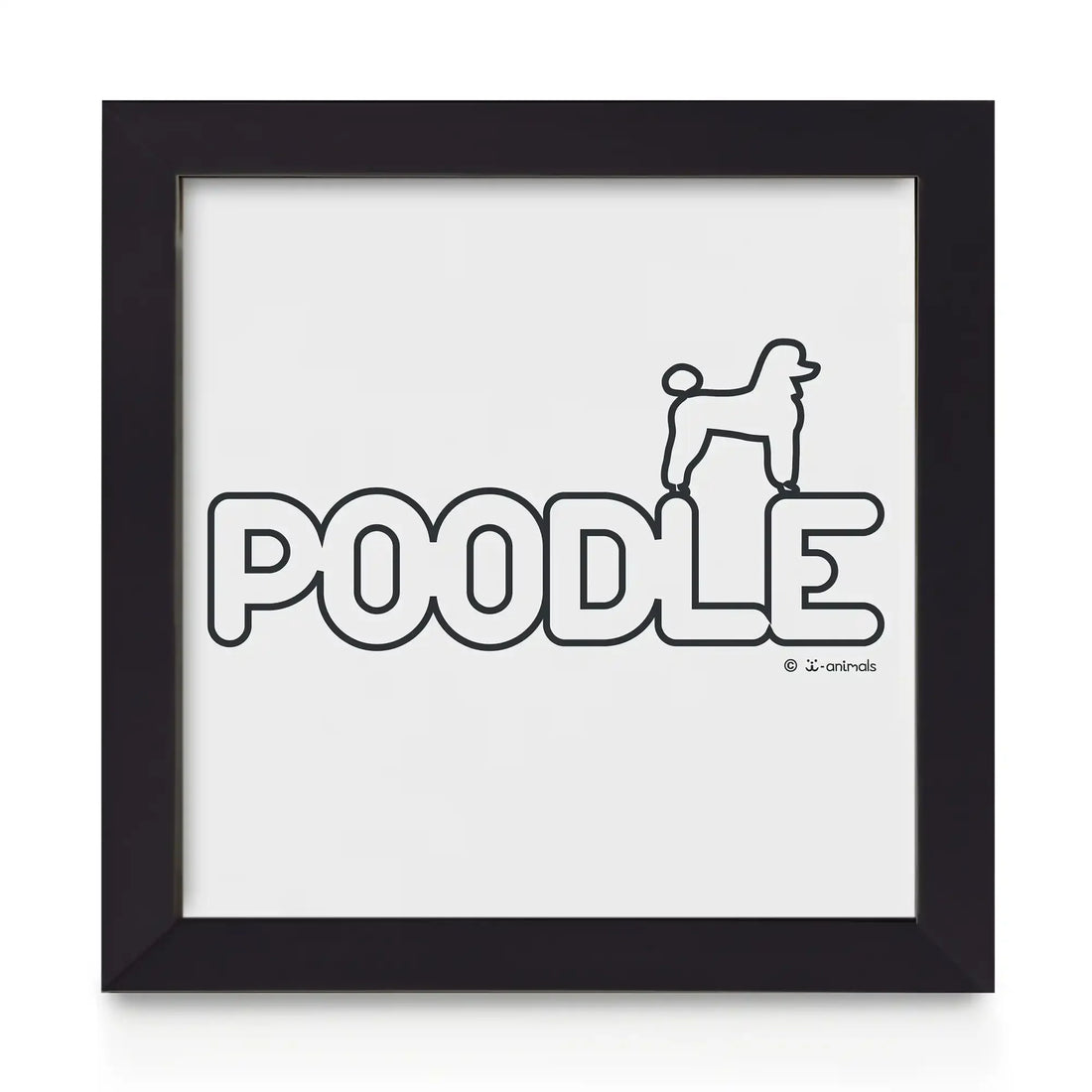 Quadro decorativo Poodle - Identidade