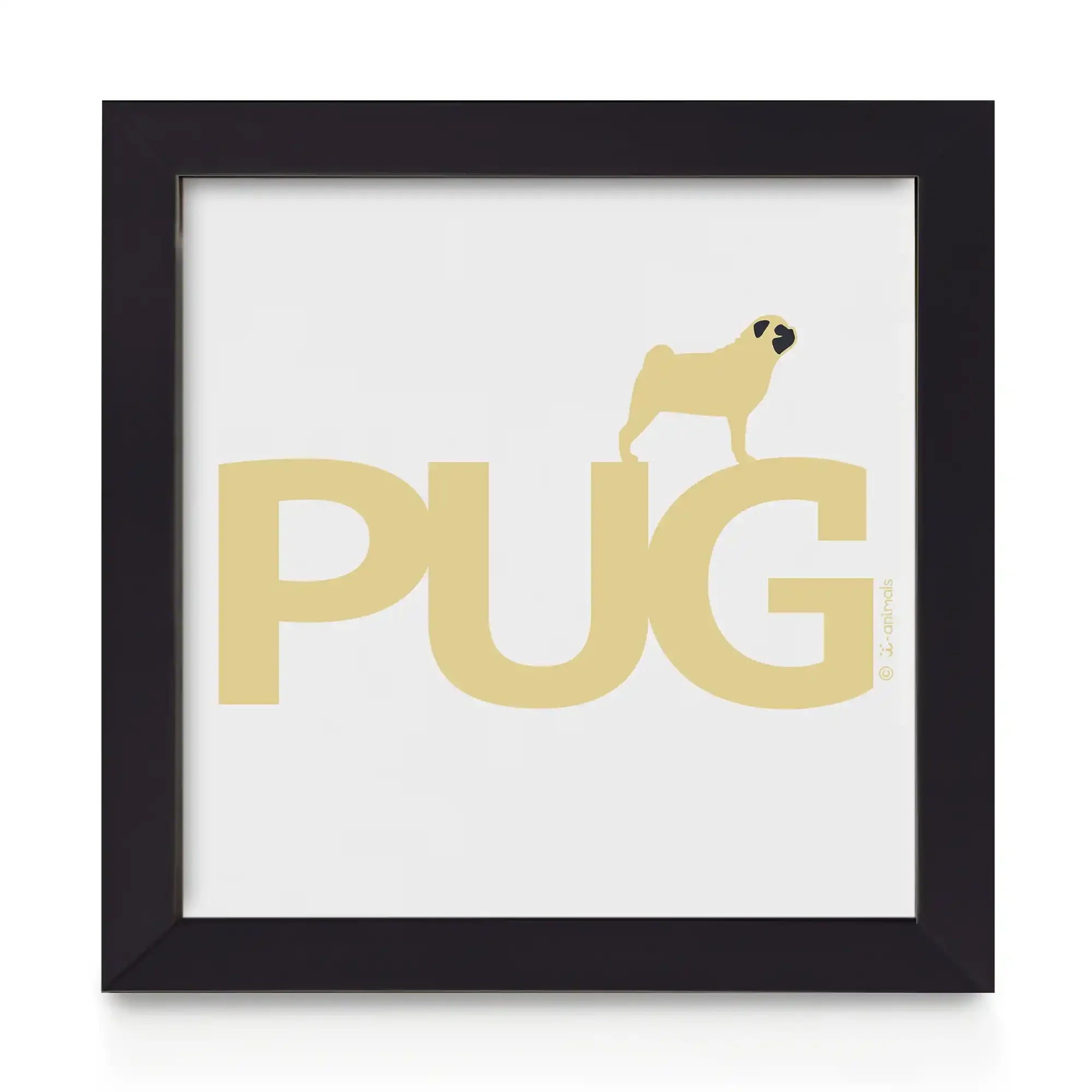 Quadro decorativo Pug - Identidade