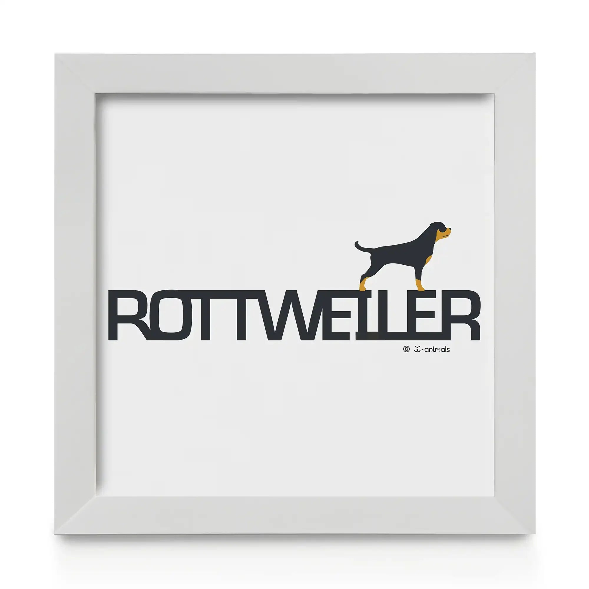 Quadro decorativo Rottweiler - Identidade