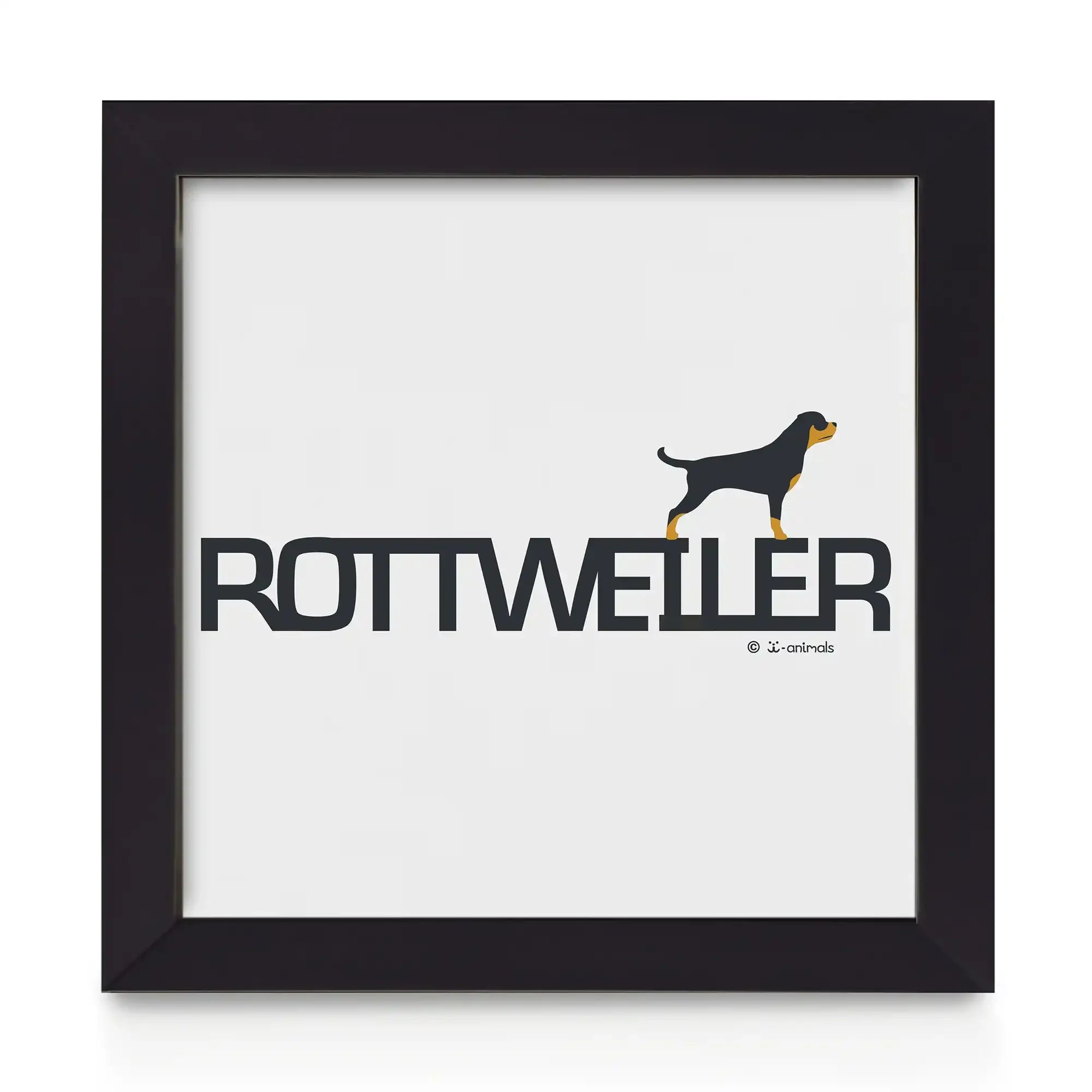 Quadro decorativo Rottweiler - Identidade