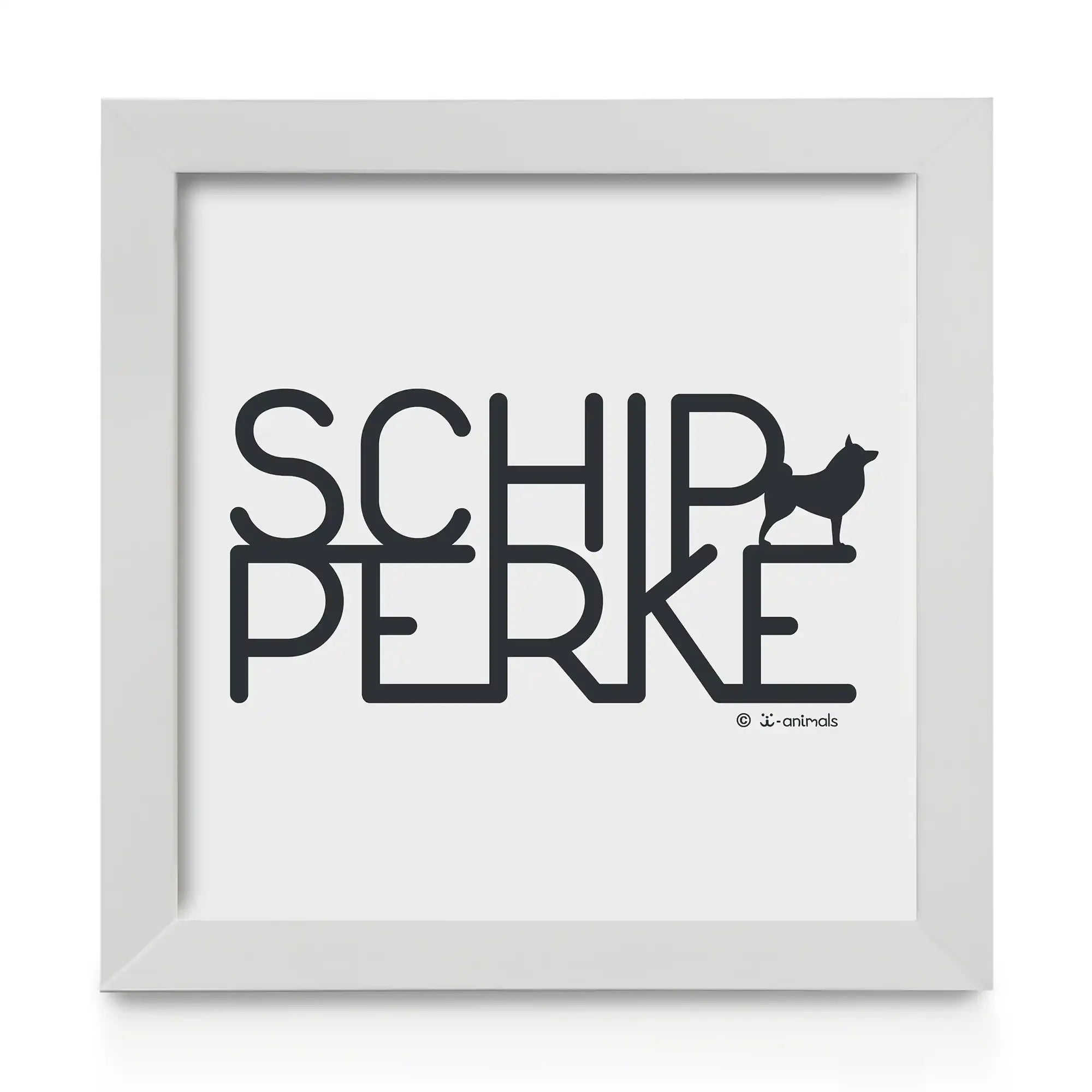 Quadro decorativo Schipperke - Identidade