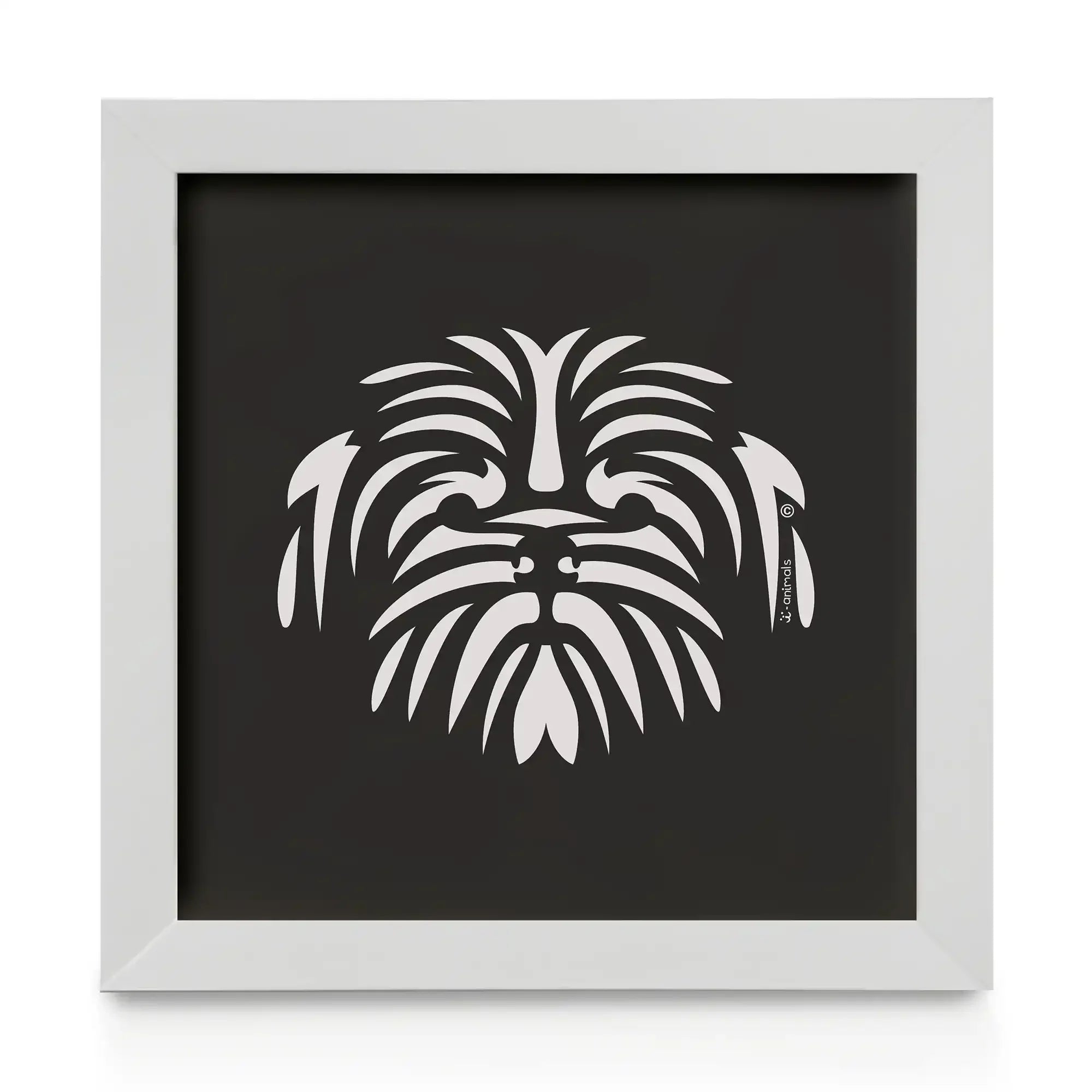 Quadro decorativo Shih Tzu - Tribal
