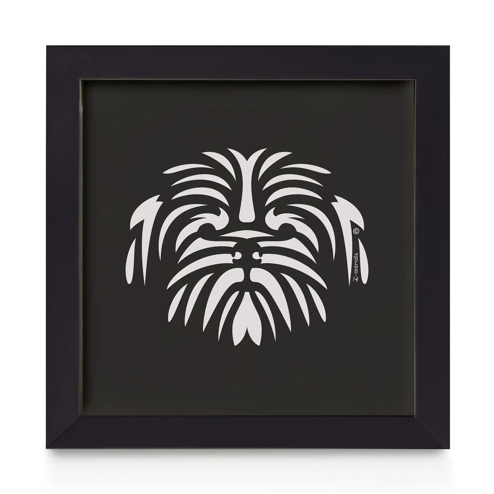 Quadro decorativo Shih Tzu - Tribal